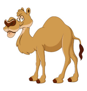 cute camel design
