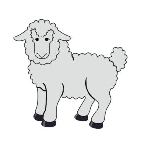 cute gray sheep vector