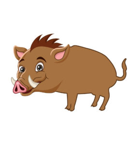 cute wild boar