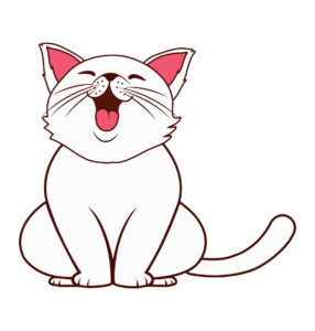 funny cat design