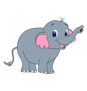 gray baby elephant vector