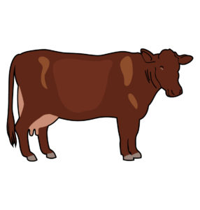 milky cow vector