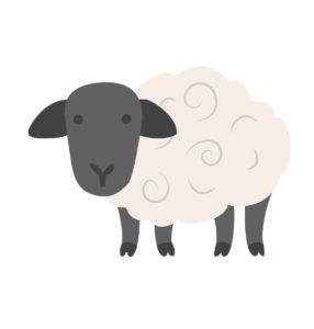 sheep cartoon vector