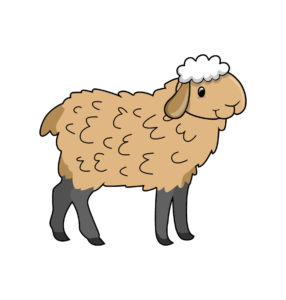 sheep design