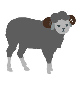 sheep gray vector