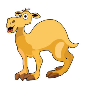 shocking  baby camel vector