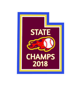 state champs 2018 (2)
