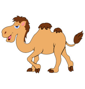 turkish camel vector