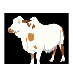 vector cow art