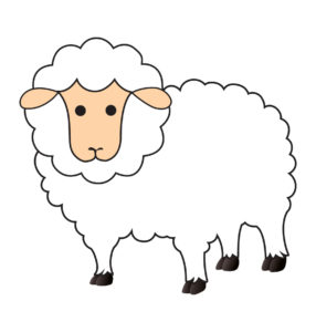 white sheep design