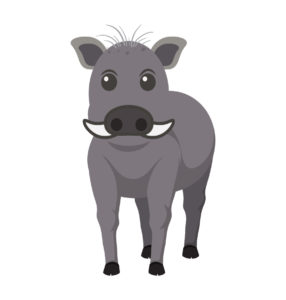 wild boar cartoon