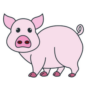 Animal Pig Vector