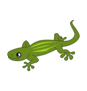 Lizard In Green Color