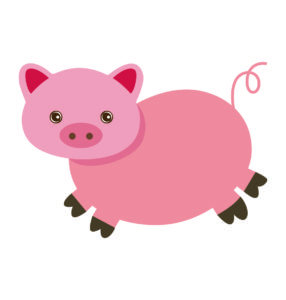 Pig Vector Head