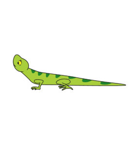Reptile Vector Lizard