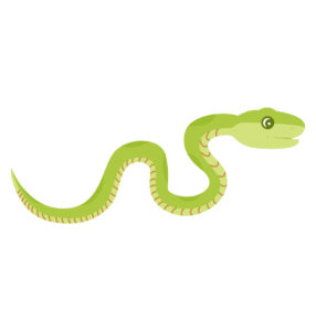 Snake Vector