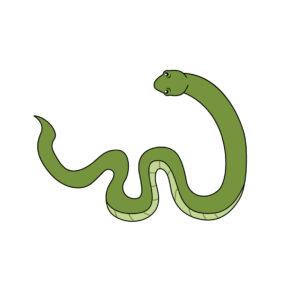 Snake Vector In Green Color