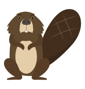 angry beaver
