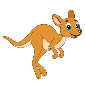 baby kangaroo