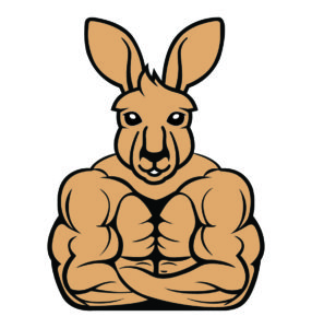 bodybuilder kangaroo vector