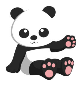 cute baby panda