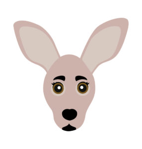 face vector kangaroo