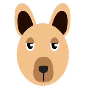 kangaroo face vector