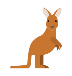 kangaroo vector
