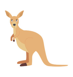 simple kangaroo vector