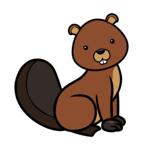 sitting brown beaver