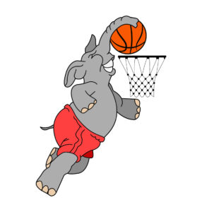 Elephant play basketball
