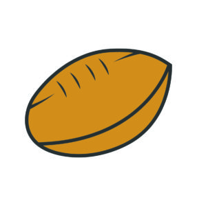 Rugby Brown Ball