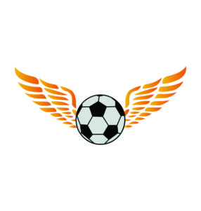 fly football vector