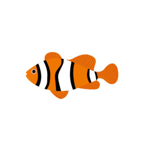 Fish cartoon vector