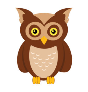 OWL bird cartoon