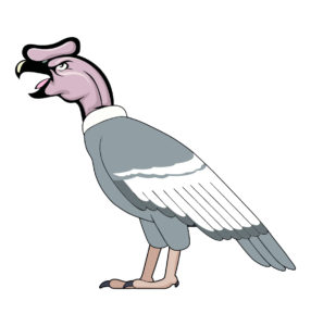 Andean Condor vector