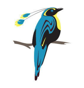 Birds of Paradise vector