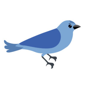 Blue-gray Tanager bird cartoon