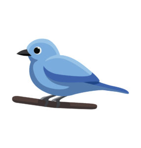 Blue-gray Tanager bird vector
