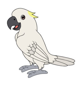 Cockatoos birds cartoon