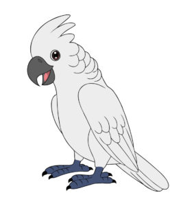 Cockatoos vector