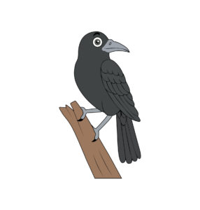 Crow vector