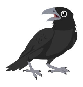 Crow vector