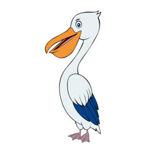 Dalmatian Pelican birds