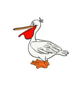 Dalmatian Pelican cartoon