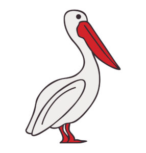Dalmatian Pelican vector