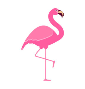 FLAMINGO VECTOR