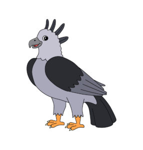Harpy eagle Birds vector