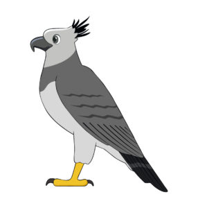 Harpy eagle vector