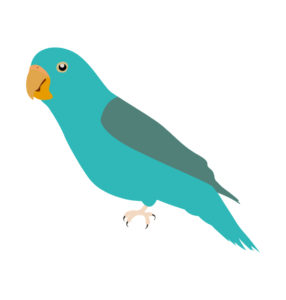 Pacific Parrotlet cartoon